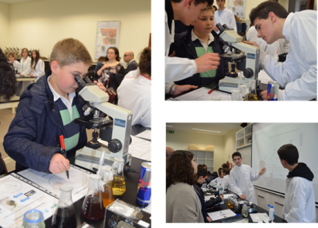 Evaluation of toxigological effects of drugs on Daphnia magna. 