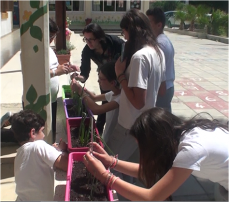 Figure 2. Students measuring different variables when growing onions, during the implementation of the SSIBL module