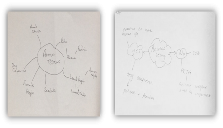 Figure 5. Some of the maps participants created to represent the controversy around testing drugs on animals